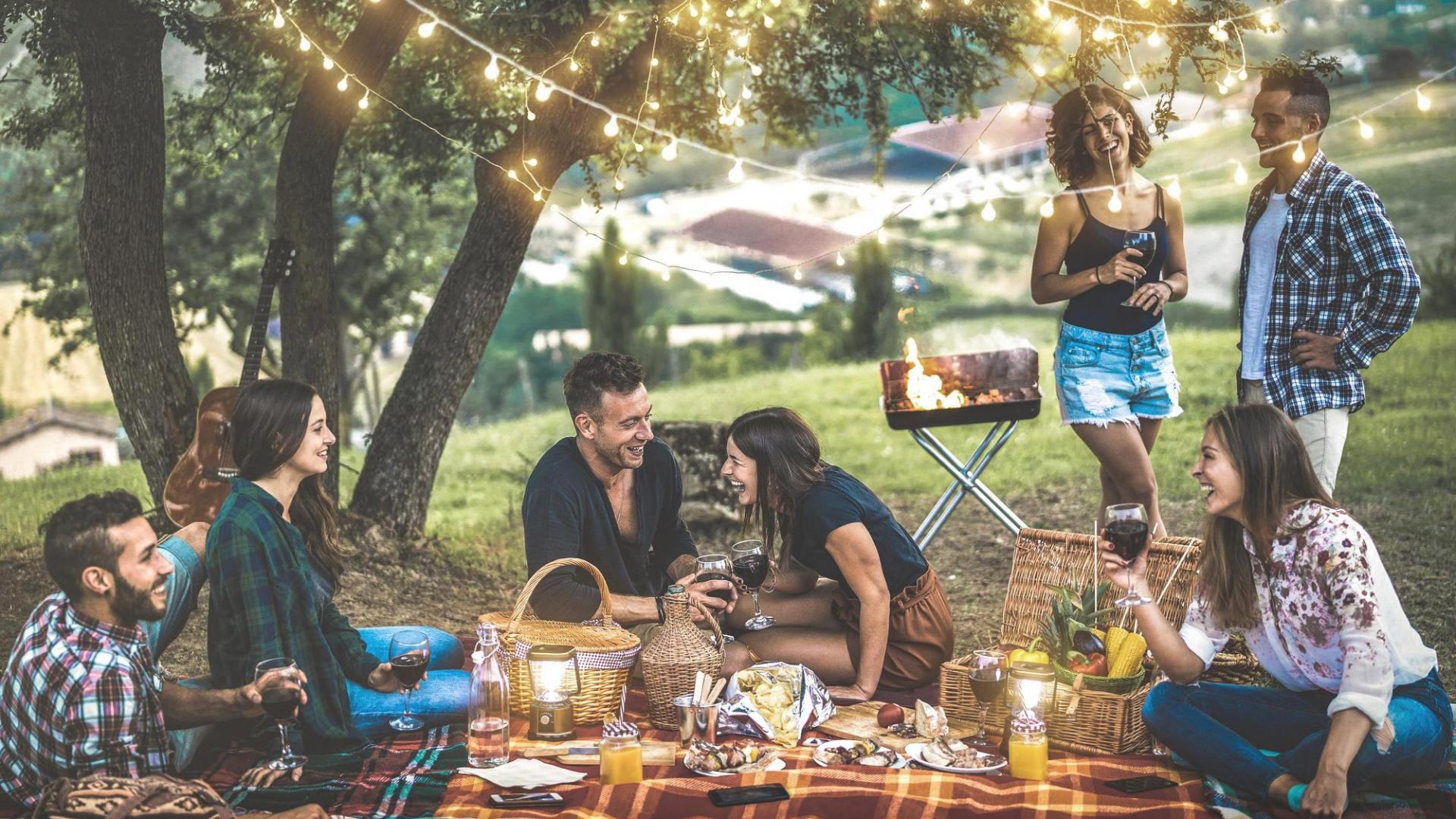 Freunde Essen Picknick