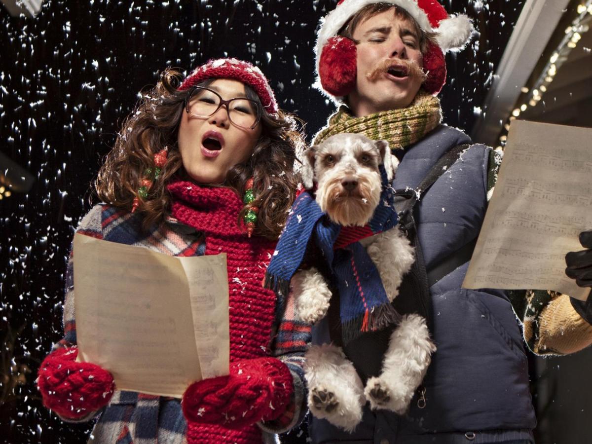 lustige weihnachtslieder singen winter schneel hund