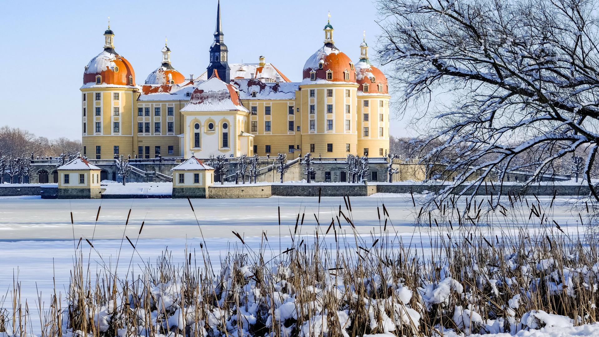 Schloss Moritzburg