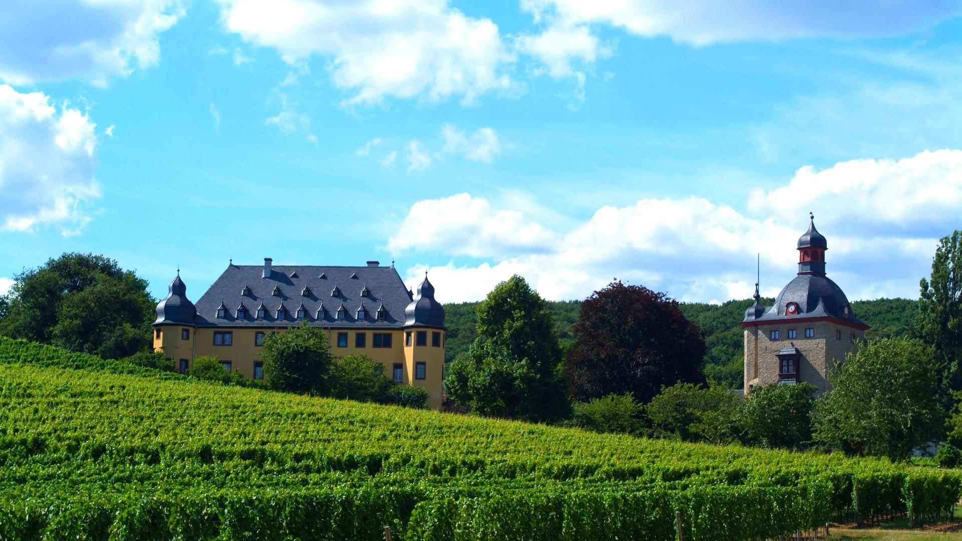 Schloss Johannisberg Rheingau