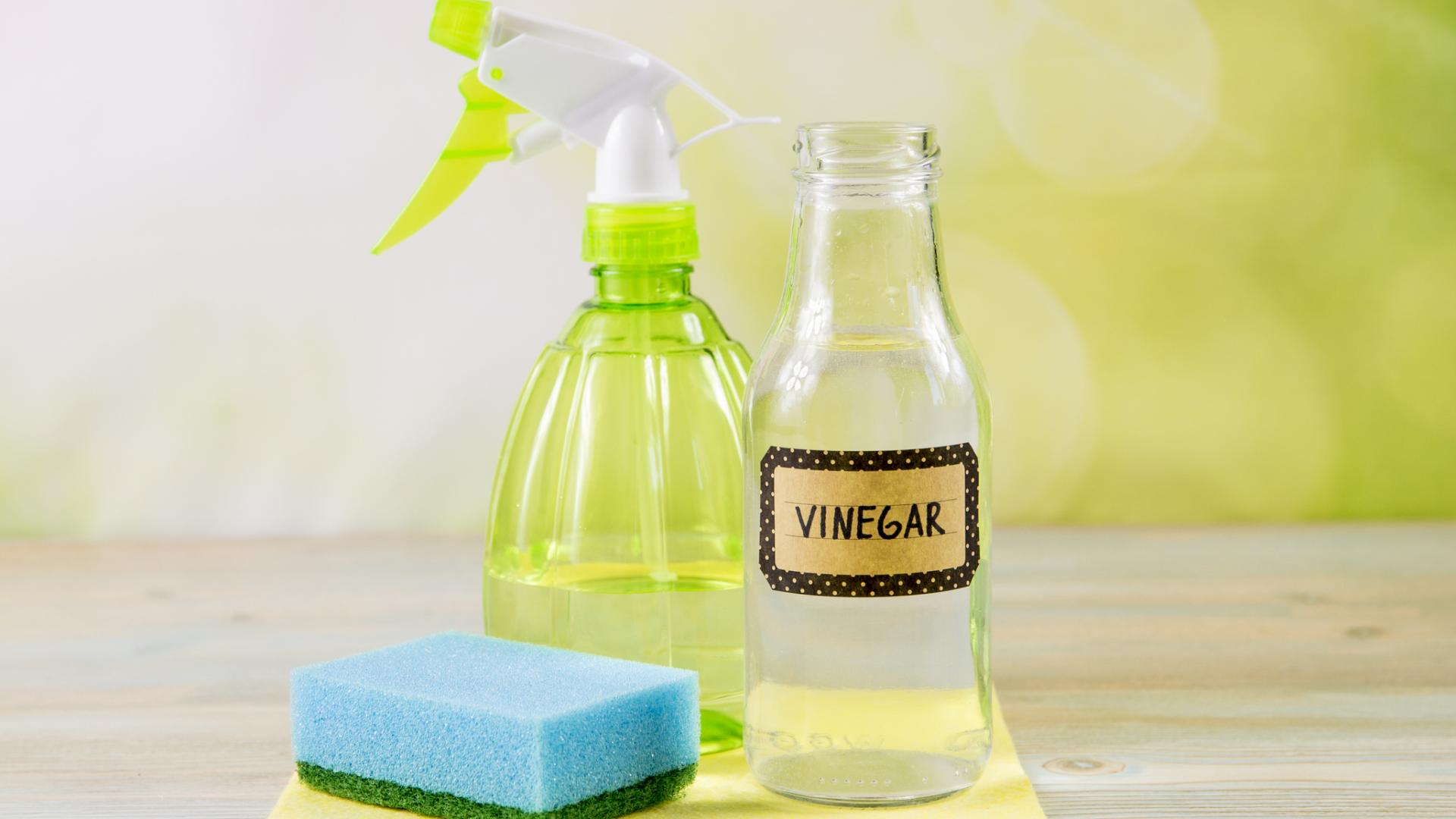 Essig Vinegar reinigung