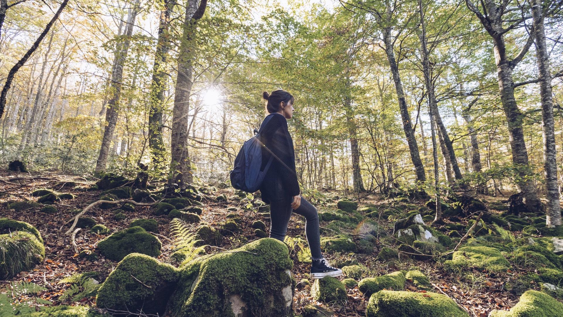 Frau Wald Spaziergang