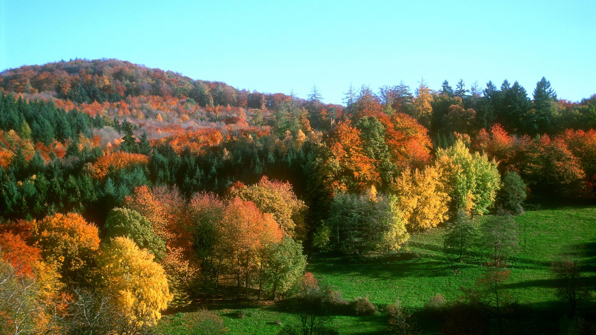 Odenwald Hessen herbst