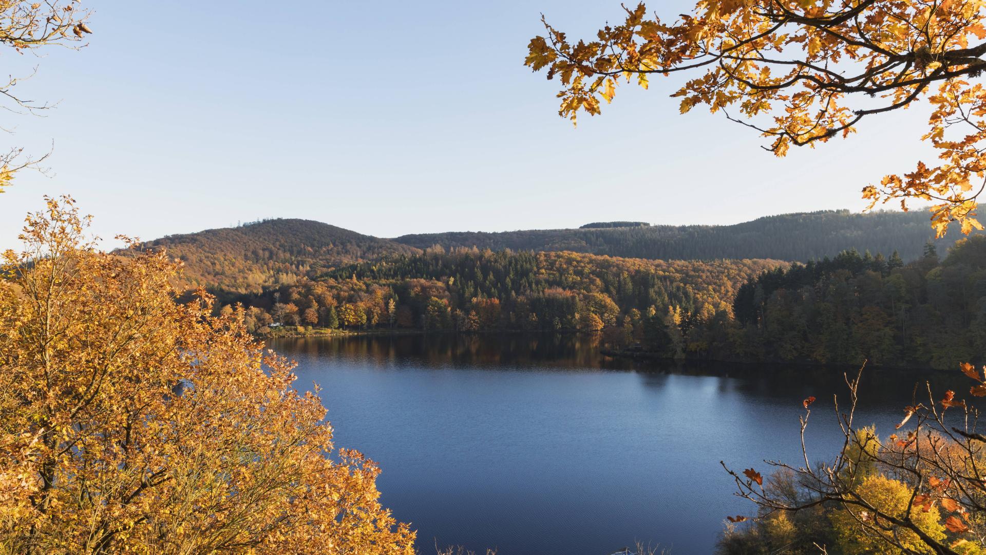 Eifel obersee herbst