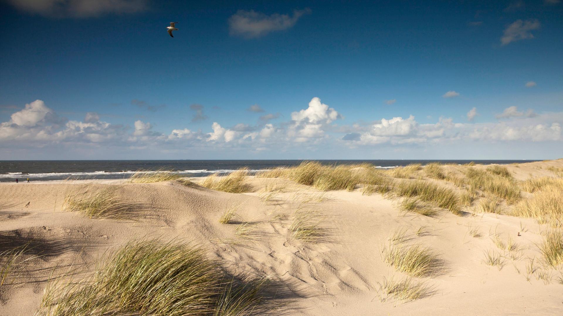 Insel Spiekeroog im Landkreis Wittmund