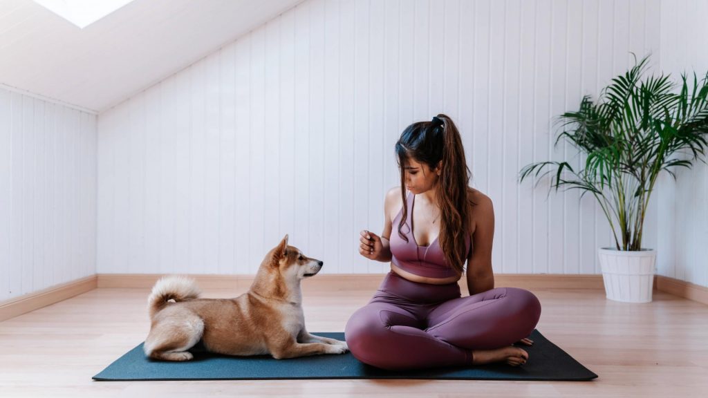 home workput yoga hund frau sport fitness pflanze zuhause