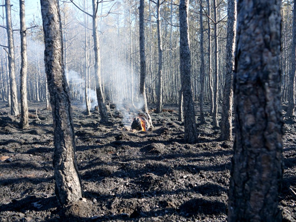 Waldbrand