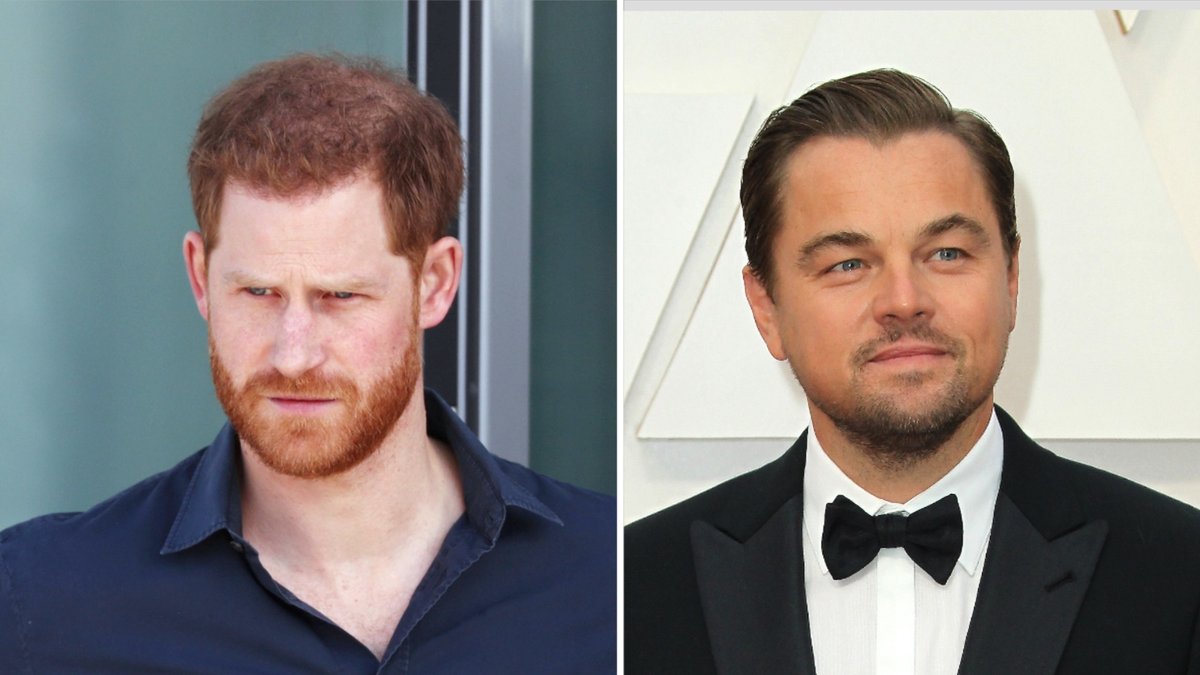 Prinz Harry (l.) und Leonardo DiCaprio machen sich gemeinsam für Afrika stark.. © ALPR/AdMedia/ImageCollect