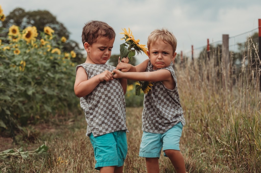 Geschwisterstreit sonnenblume feld zwillinge