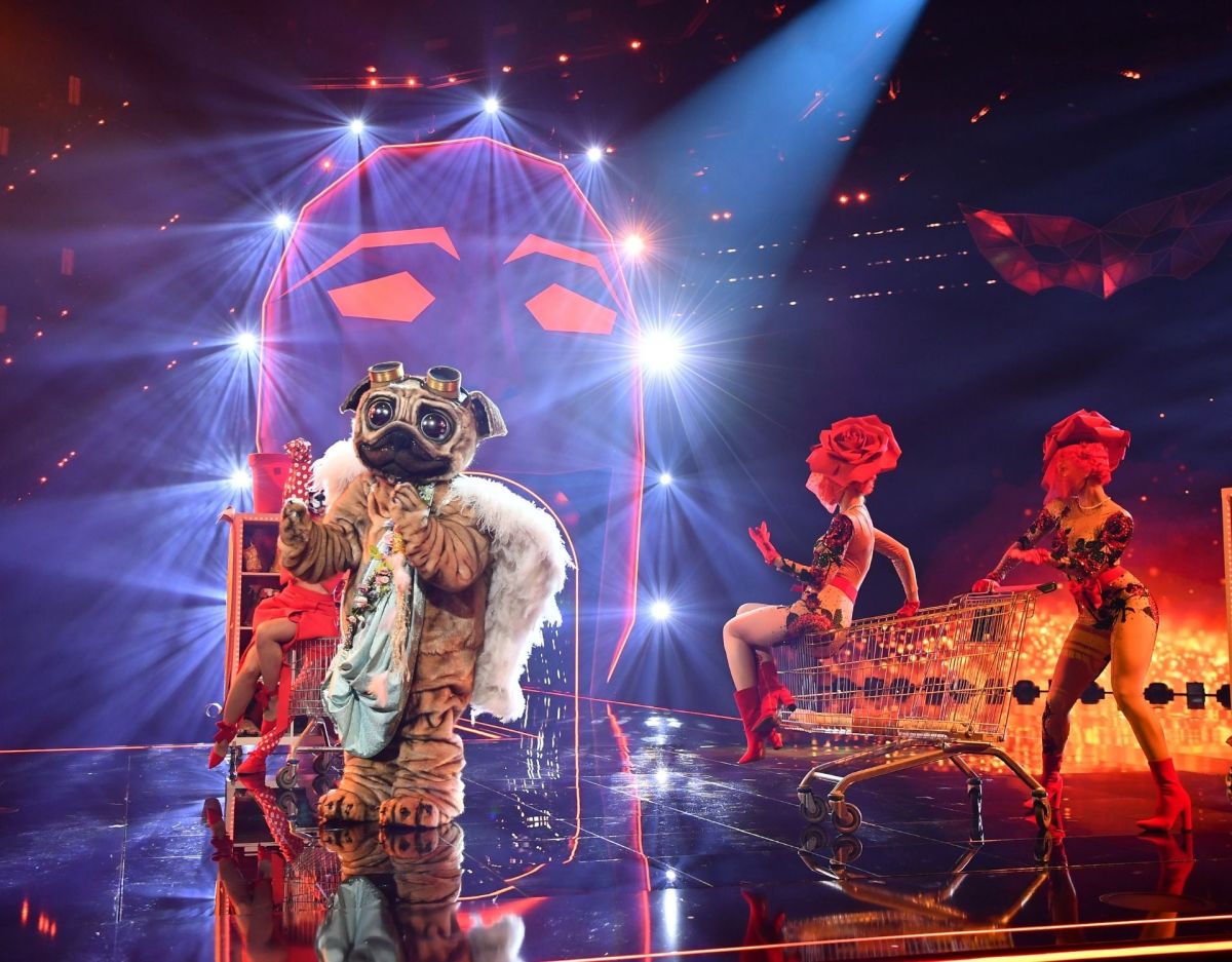 Der Teddy The Masked Singer Finale