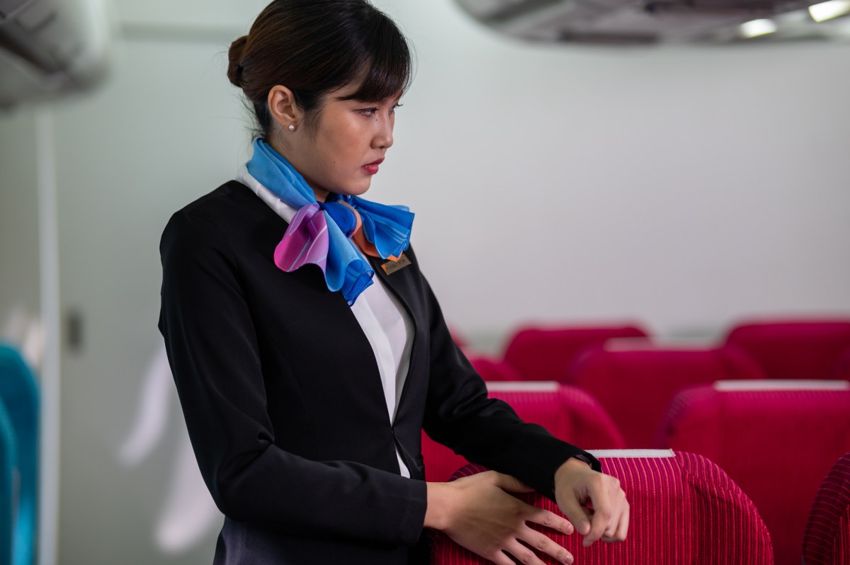 Stewardess Flugzeug