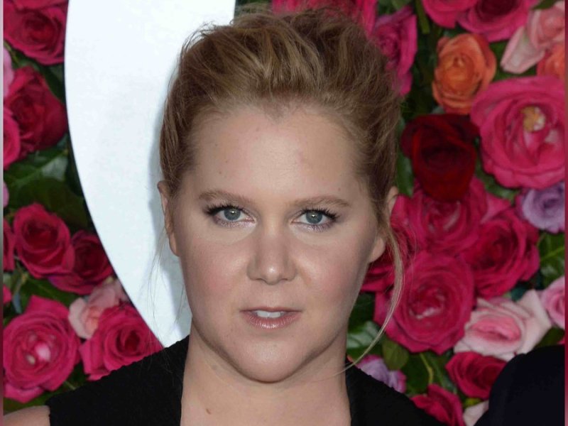 Komikerin Amy Schumer zeigte sich großzügig.. © Dennis Van Tine/starmaxinc.com/ImageCollect