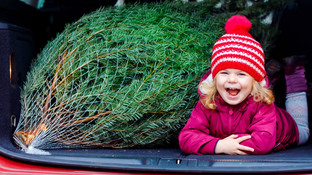 Freude pur beim Weihnachtsbaumkauf - wenn man ein paar Tipps beachtet.... © Irina Wilhauk/Shutterstock