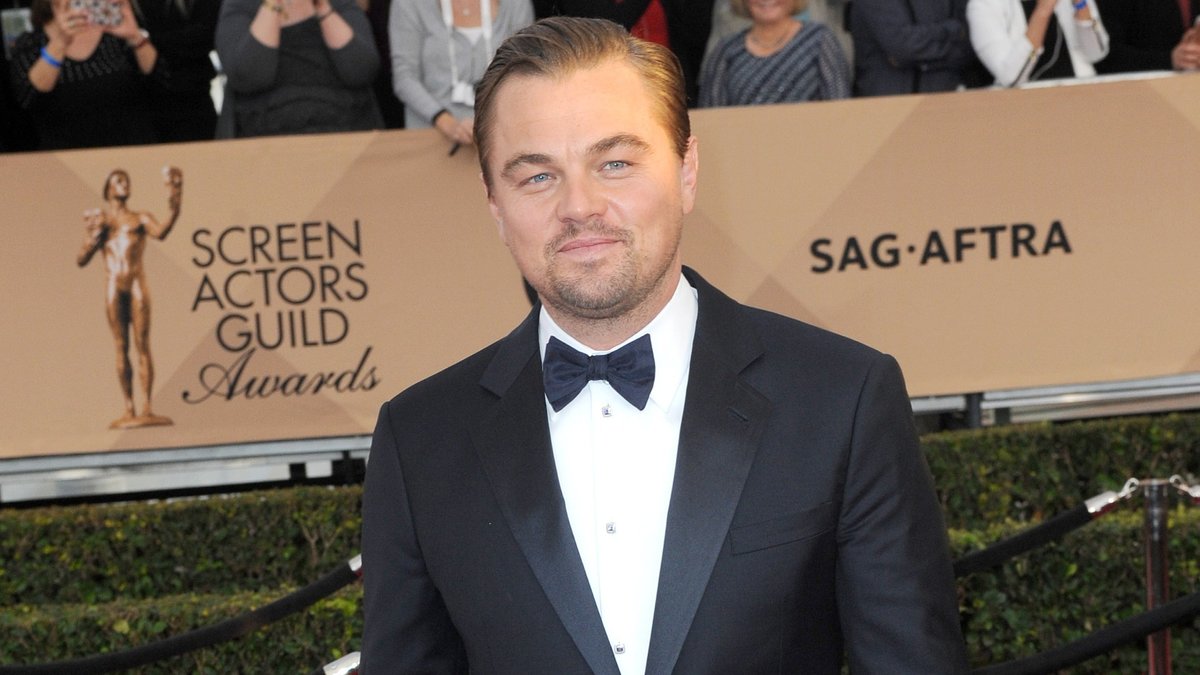 Leonardo DiCaprio hat sich für den Umweltschutz in Kamerun eingesetzt.. © Tinseltown / Shutterstock.com