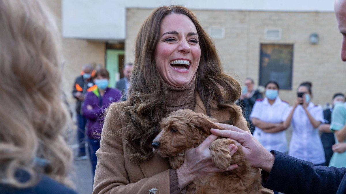 Herzogin Kate mit Therapiehund Alfie.. © imago images/i Images