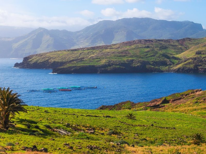 Die portugiesische Insel Madeira hat einiges zu bieten - auch im Winter.. © Nick Fox/Shutterstock. com