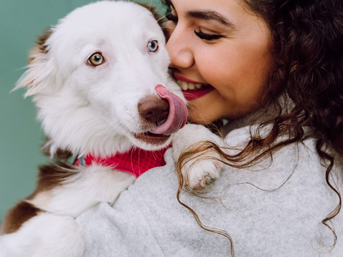 Hund mit Frauchen