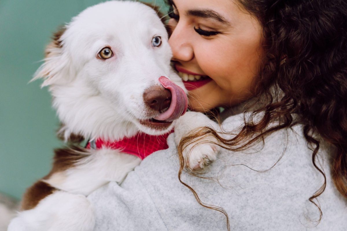 Hund mit Frauchen