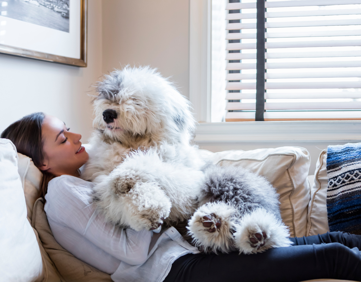 Frau liegt mit wuscheligen Hund auf der Couch.