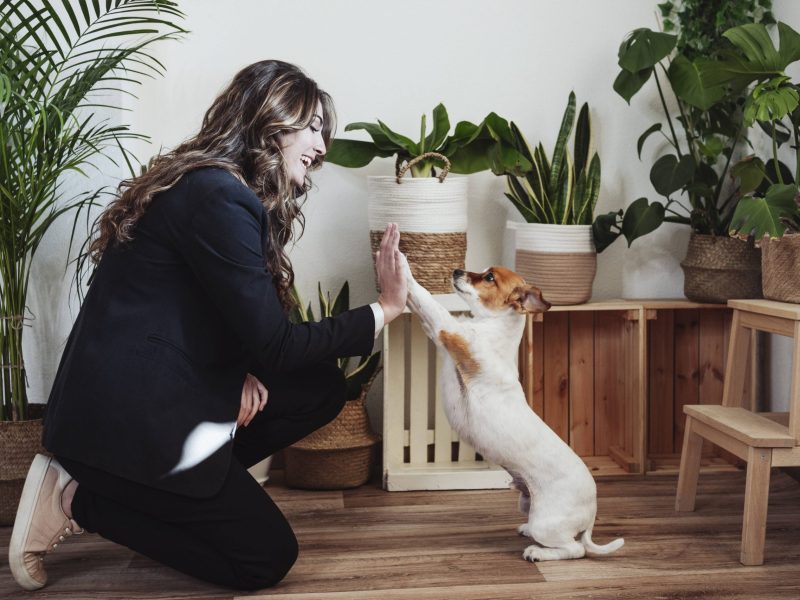 Frau mein Hund fürs Leben