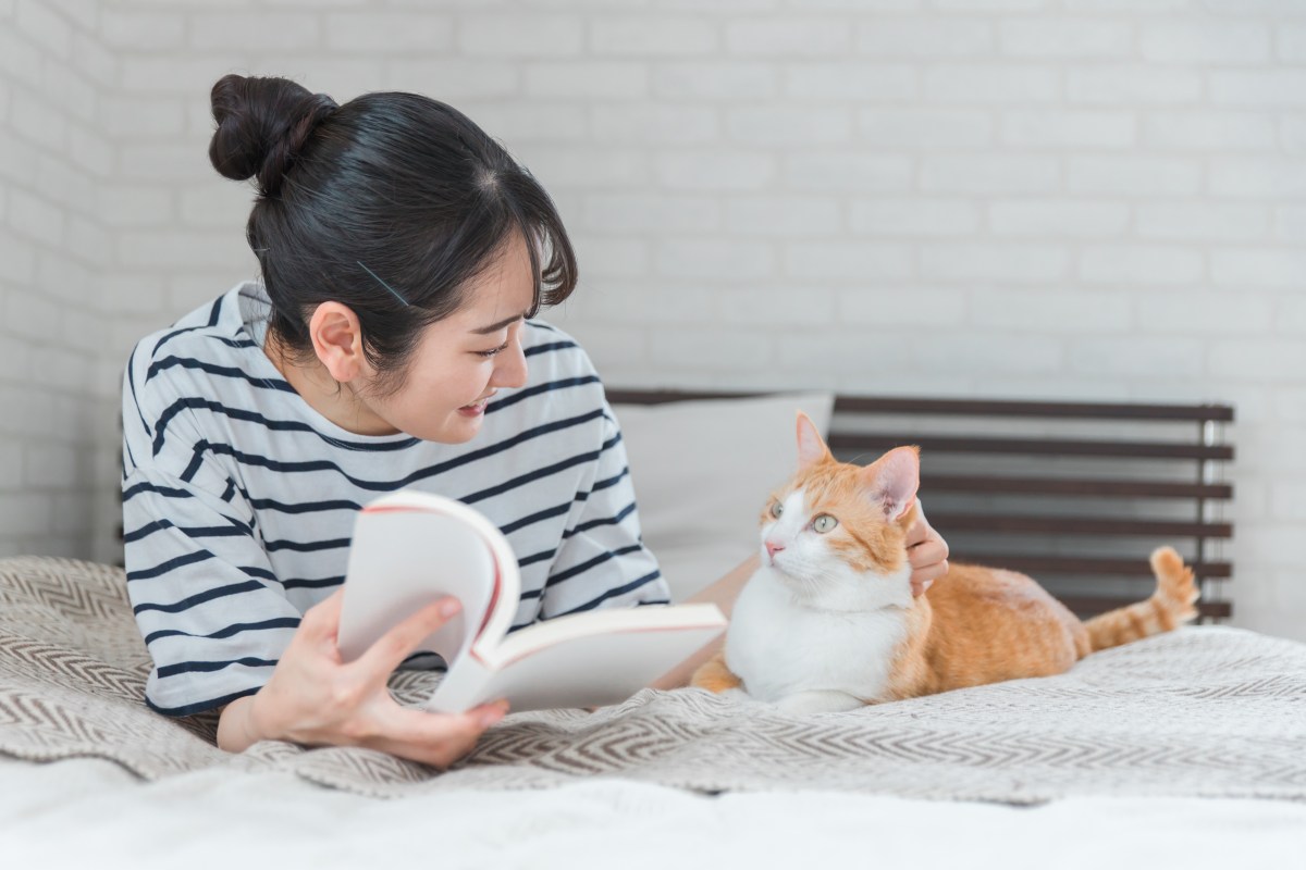 Katze und Frau liegen auf dem Bett und lesen.