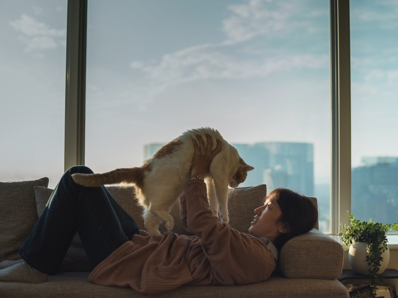 Frau liegt auf dem Sofa und hält Katze