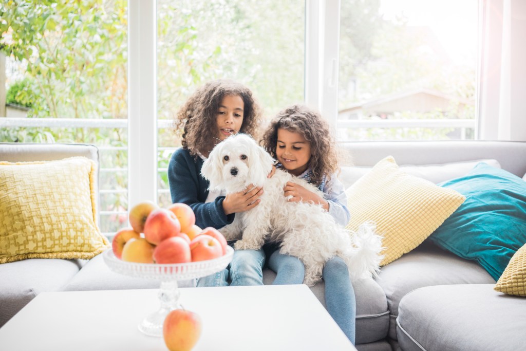 Zwei Kinder mit Hund auf dem Sofa