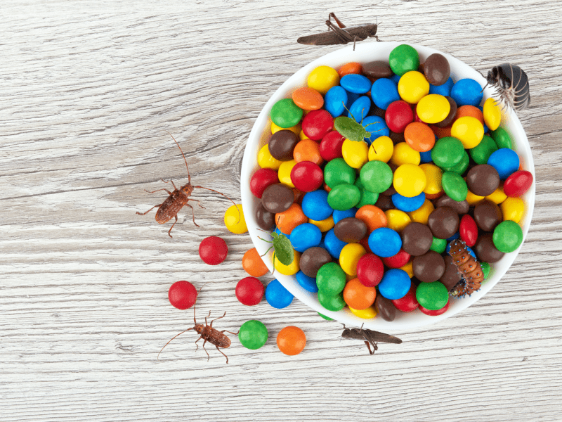 Teller mit M&Ms und Insekten