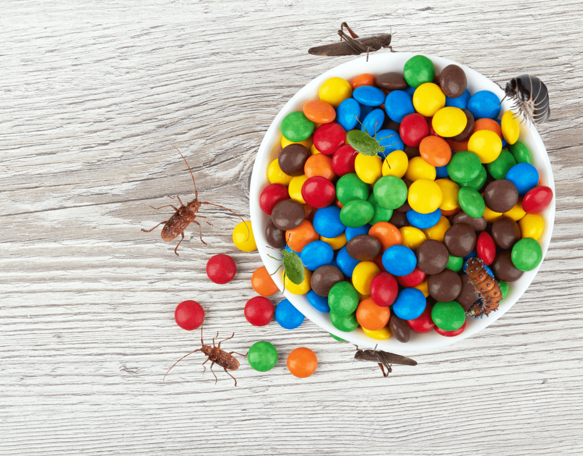 Teller mit M&Ms und Insekten