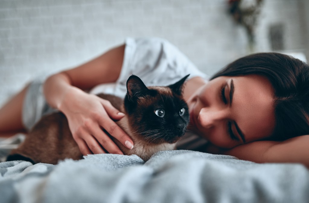 Frau und Katze schlafen im Bett gemeinsam.