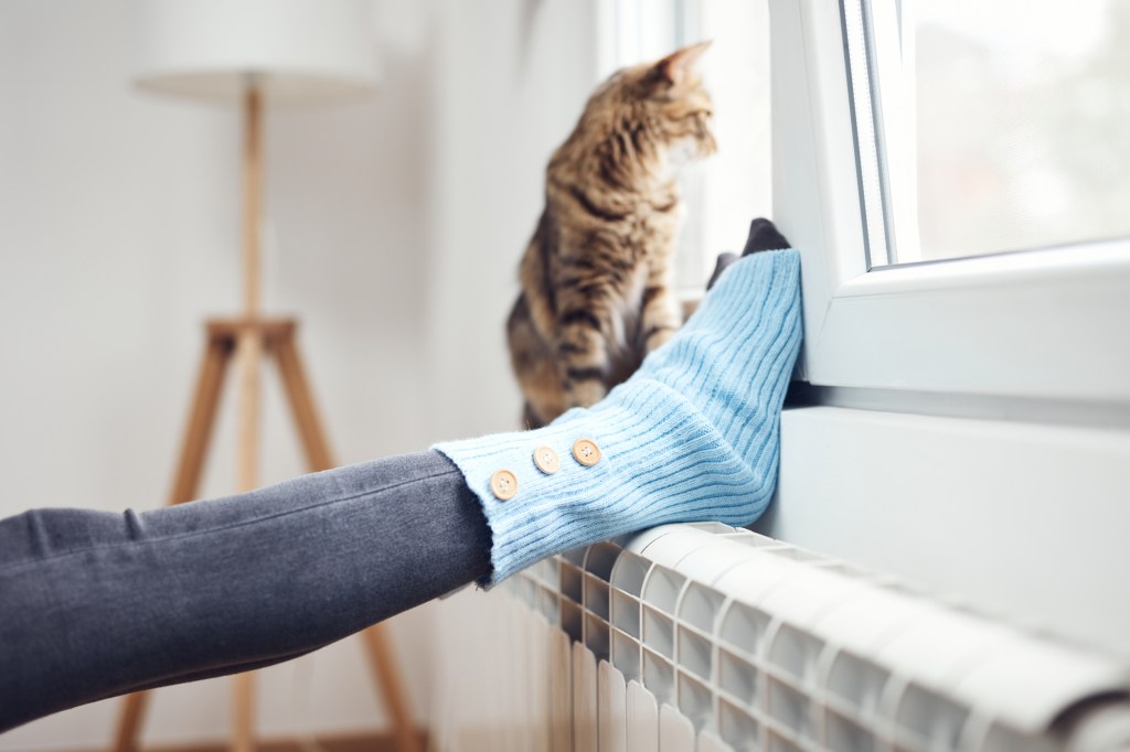 socken frau katze heizung wohnzimmer