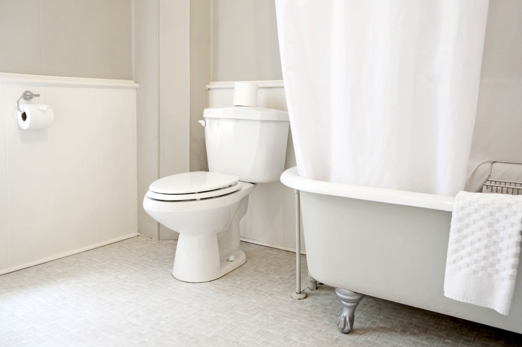 toilette putzen badezimmer