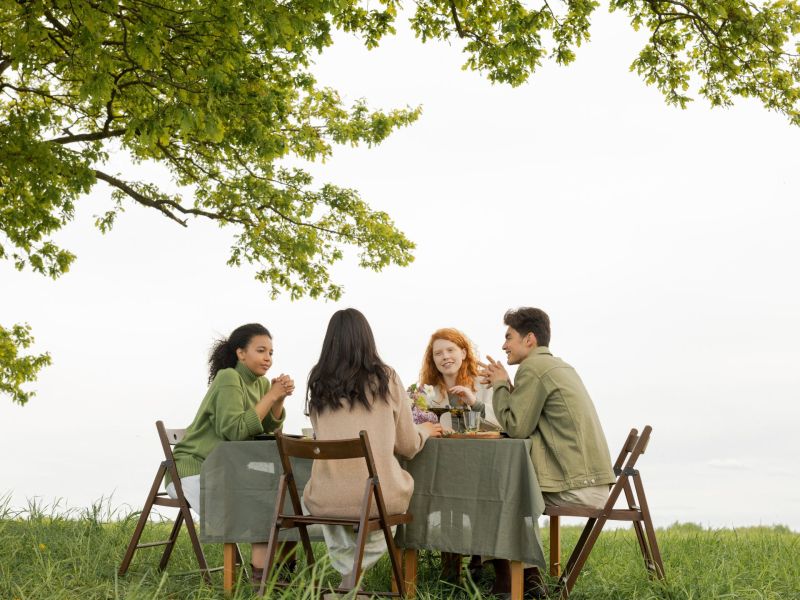 Freunde Picknick