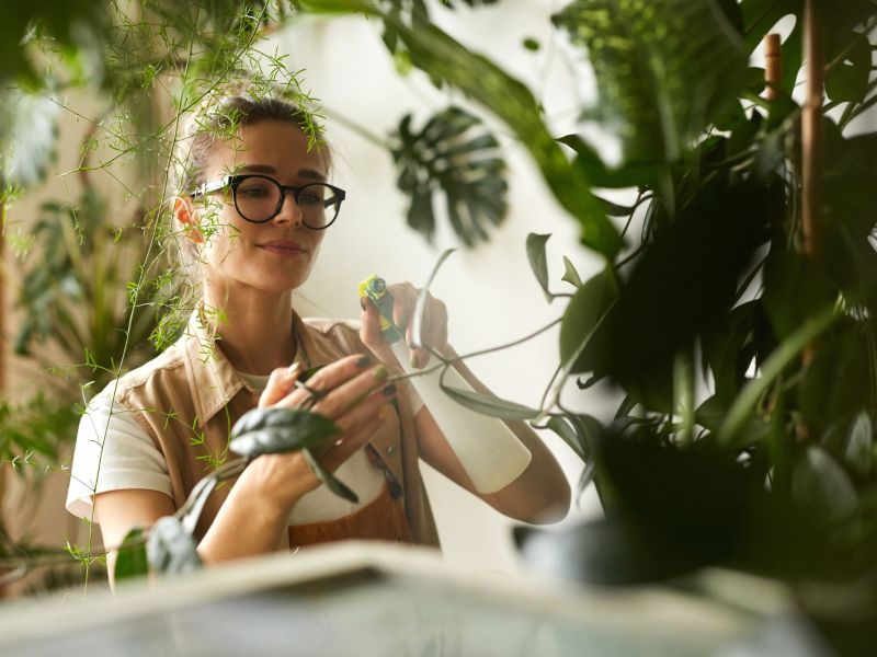 frau pflanzen sprühen grün zuhause