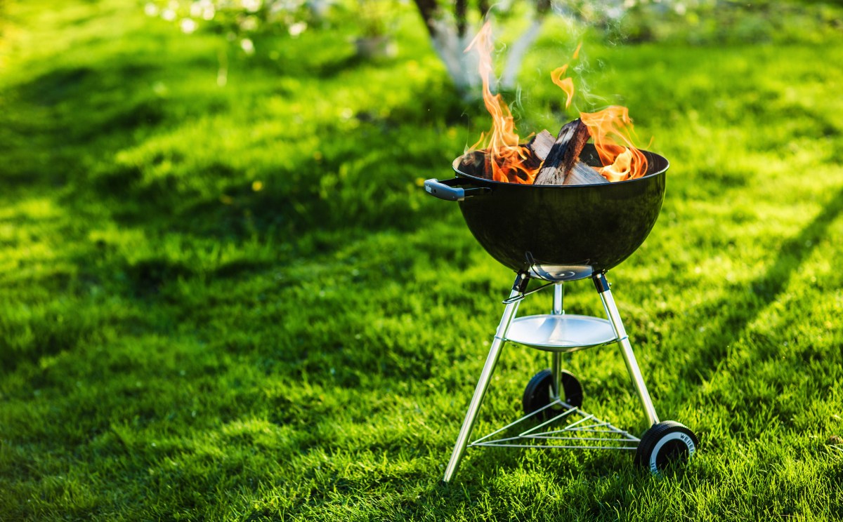 grill wiese barbeque feuer sommer essen flamme