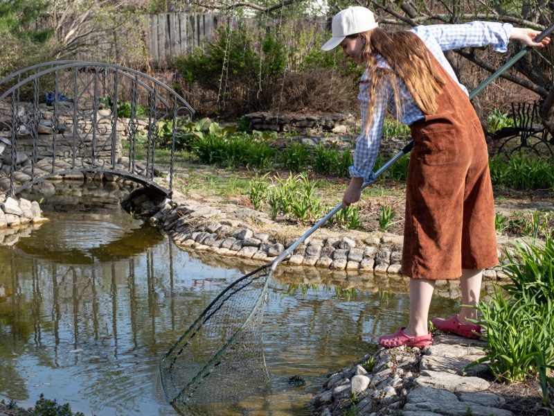 Frau holt Algen aus dem Teich