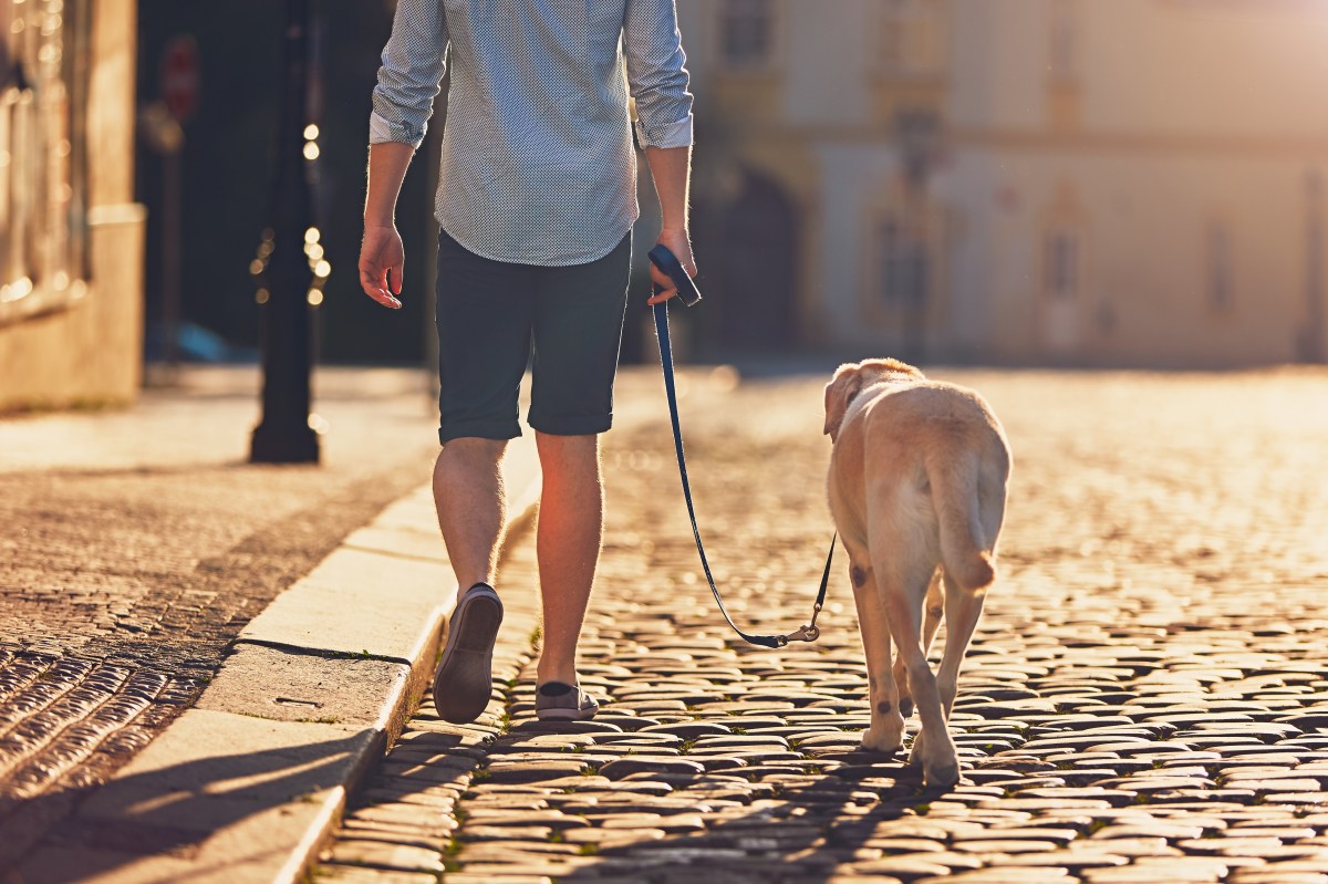 Mann geht mit Hund spazieren