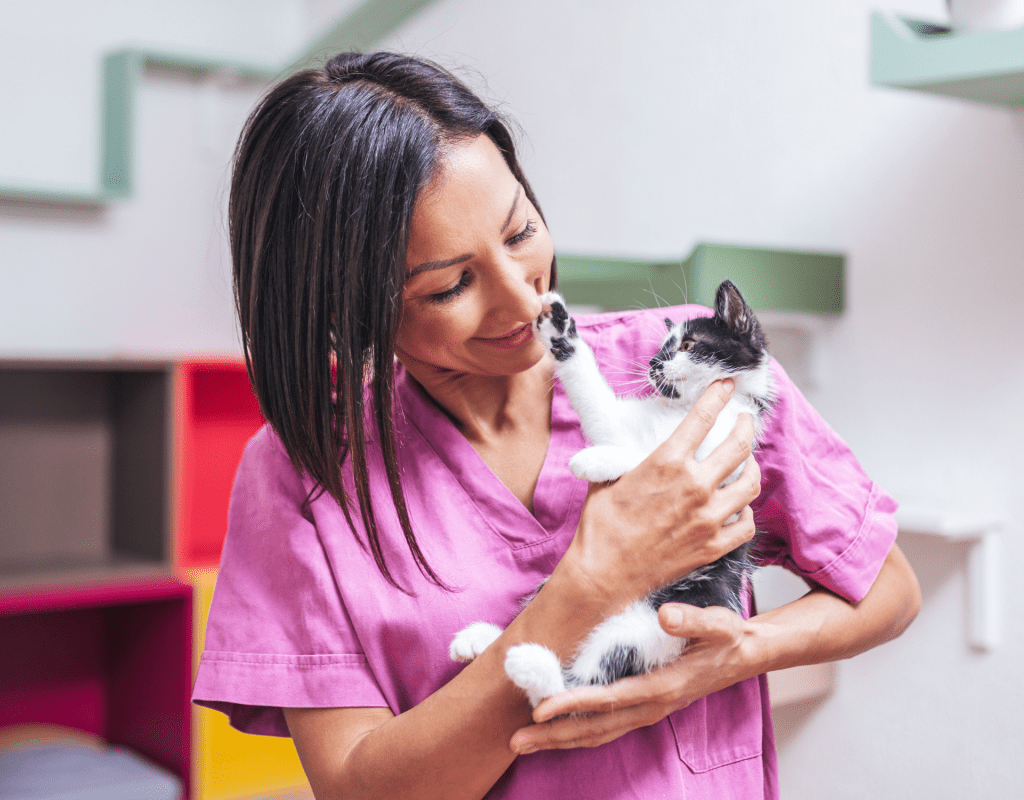 Frau hat Katze im Tierheim auf dem Arm.