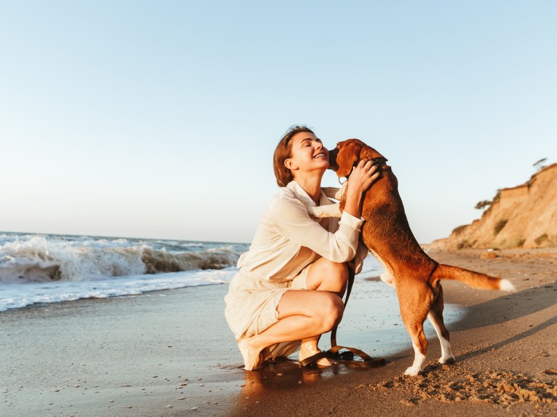 Hund am Hundestrand mit Frau