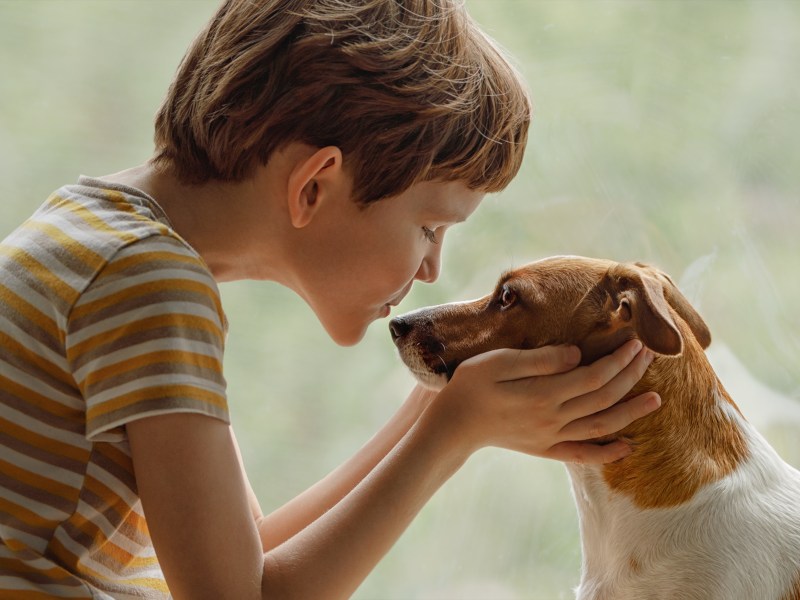 Kind küsst Hund auf die Nase