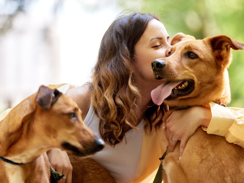 Haustier anschaffen Frau mit Hunden