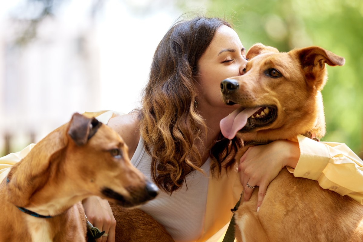 Haustier anschaffen Frau mit Hunden