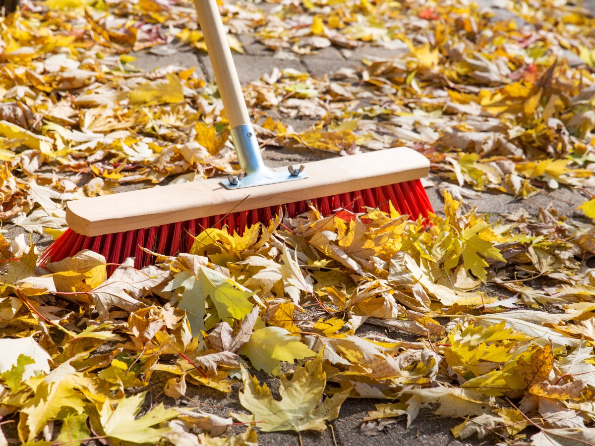 Herbstlaub fegen auf Bürgersteig.