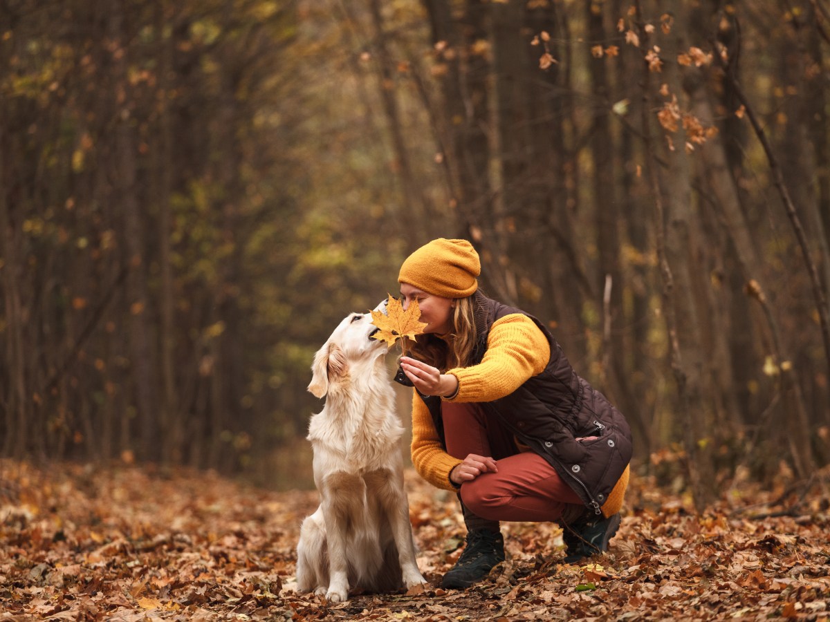 Hund & Herbstblues: Gemeinsam stark durch die dunkle Jahreszeit