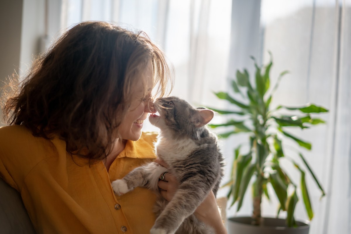 Katze beißt Frau in Haare und Nase