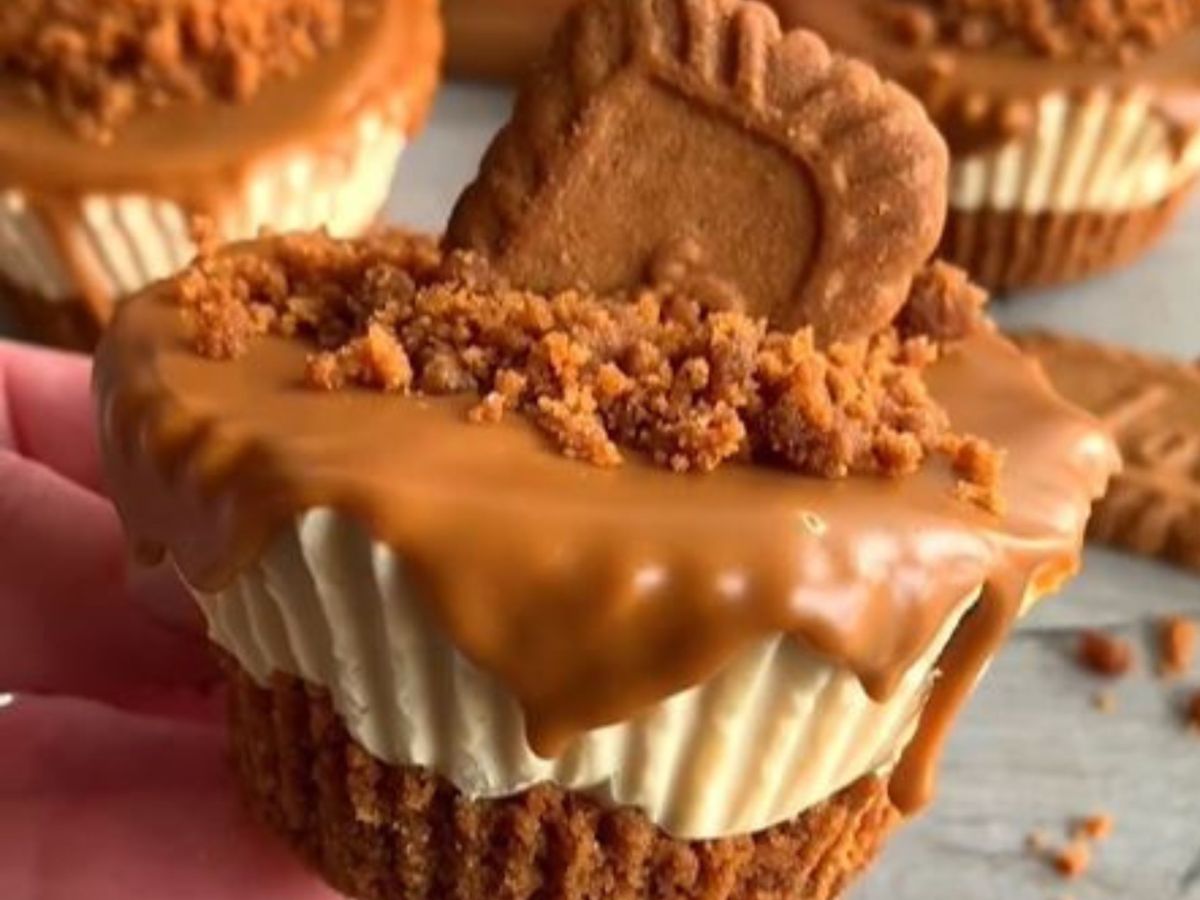 Biscoff Cheesecake Muffins