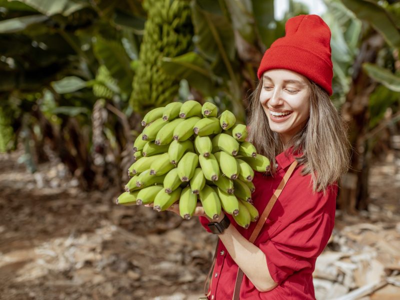 Frau grüne Bananen