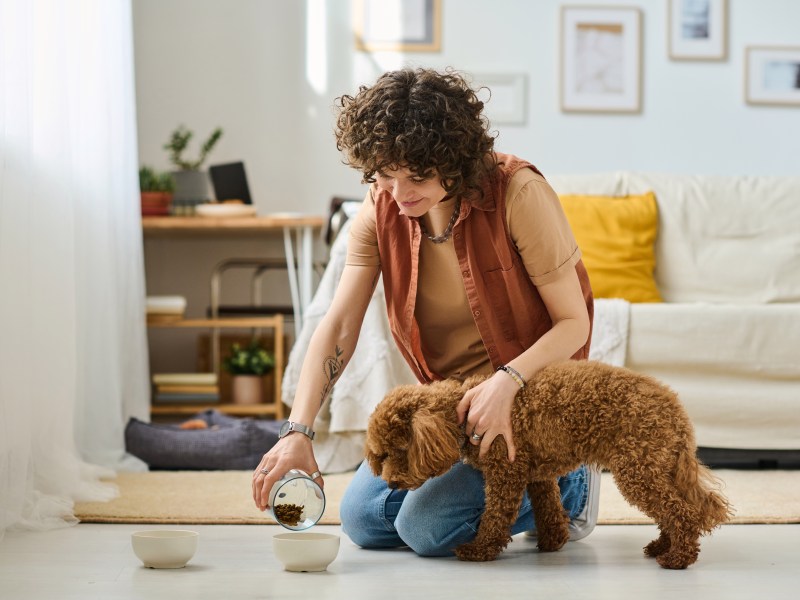 Frau füttert Hund