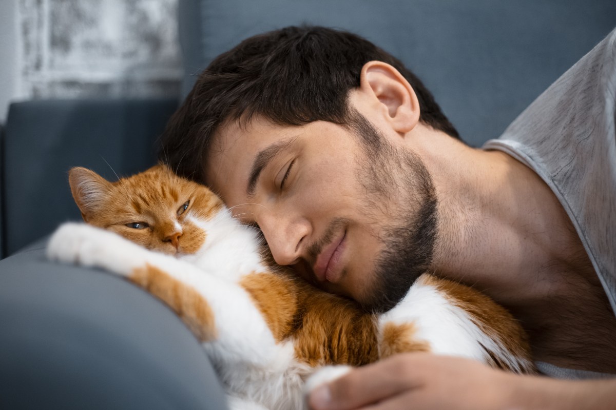 Mögen Katzen Männer lieber als Frauen?