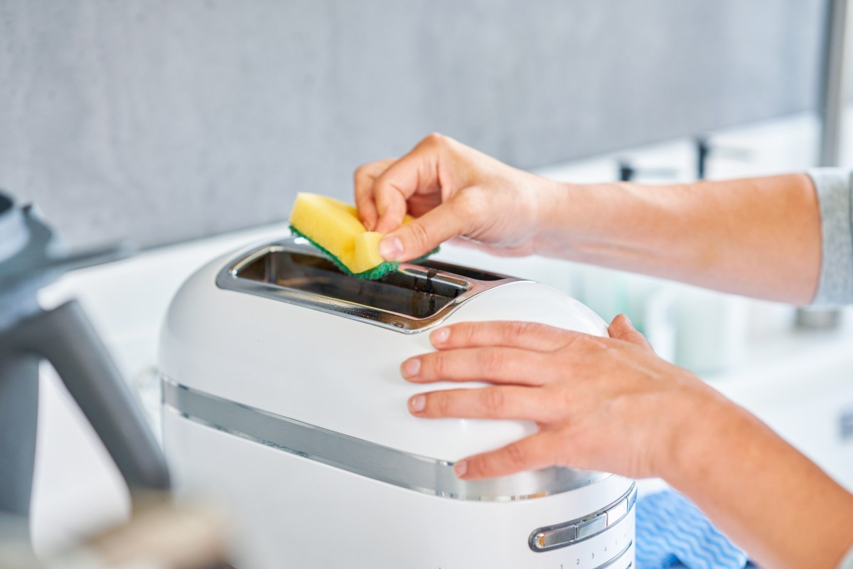 Toaster reinigen